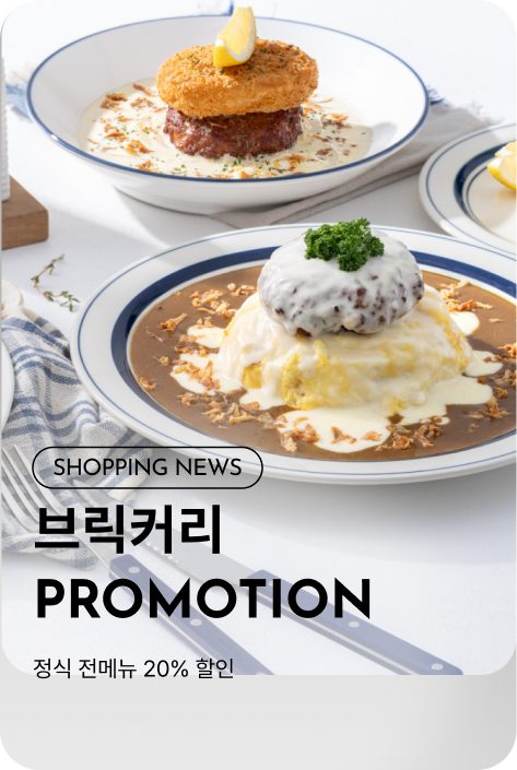 [쇼핑뉴스_파주점] 브릭커리 PROMOTION